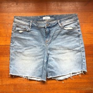 Loft Plus jean shorts
